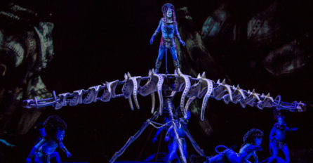 POGLEDAJTE TRAGEDIJU NA PREDSTAVI NAJPOZNATIJE CIRKUSKE SKUPINE: Akrobat preminuo nakon pada na  pozornici (VIDEO)