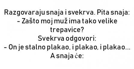VIC DANA: Razgovaraju svekrva i snaha
