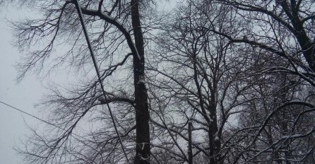 VREMENSKA PROGNOZA: U BiH oblačno sa snijegom, na jugu kiša