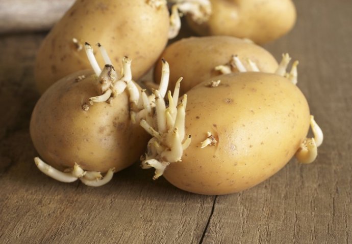  Stalno bacate PROKLIJALI krompir jer mislite da nije dobar? Samo uradite OVU STVAR i jest ćete ga u slast!