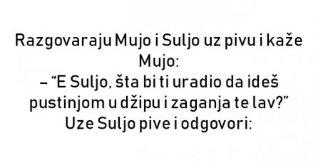 VIC : Razgovaraju Mujo i Suljo uz pivu i kaže Mujo: