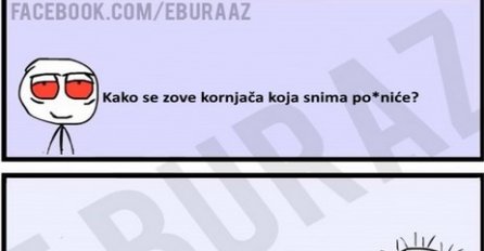 E buraz, kako se zove kornjača koja snima po*niće?