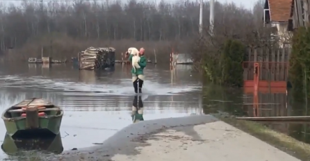 PAS SE NAŠAO U SRED POPLAVE: Srećom, imao je pomoć!