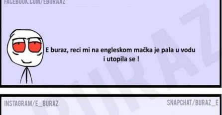 E buraz, reci mi na engleskom mačka je pala u vodu i utopila se !