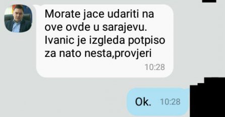 'OSMISLI PRIČU ZA PANDUREVIĆKU IMAŠ 100 MARAKA': Aleksandra Pandurević na Twitteru objavila prepisku Košarca i novinara RTRS