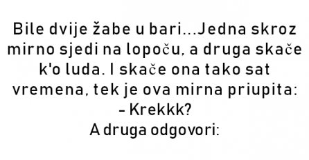 VIC : Bile dvije žabe u bari...Jedna skroz mirno sjedi na lopoču, a druga skače k'o luda