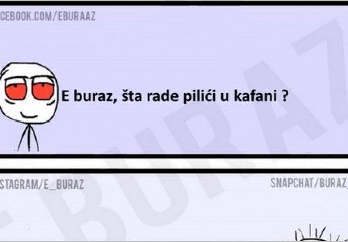 E buraz, šta rade pilići u kafani?