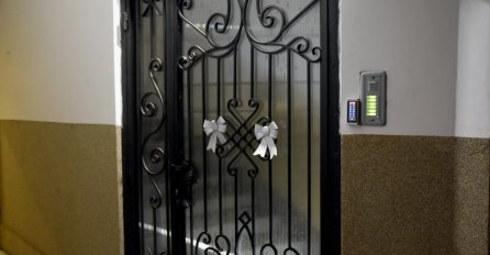 STRAŠNA SMRT MALOG KOŠARKAŠA (11): Nije se odazivao na majčine pozive, a kada je otvorila vrata u njegovoj sobi zatekla je stravičan prizor