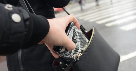 Uhapšena Shakira iz Bosne i Hercegovine: Džeparošica s debelim kriminalnim dosijeom u Italiji