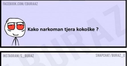 E buraz, kako narkoman tjera kokoške ?