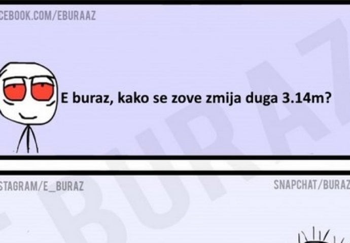 E buraz, kako se zove zmija duga 3.14m?