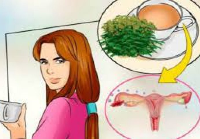 Čuva vaše zdravlje: Ova biljka rješava sve ženske probleme, a raste svuda oko nas!