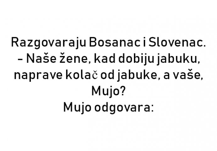 VIC : Razgovaraju Bosanac i Slovenac.