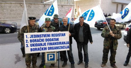 Dvadesetak boraca ispred zgrade Federalnog parlamenta