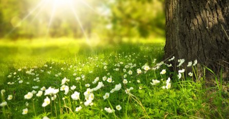 Sutra počinje proljeće: Bit će natprosječno toplo