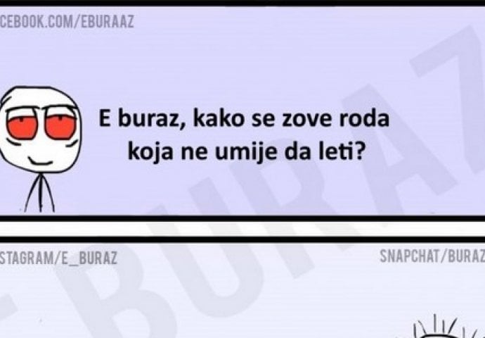 E buraz, kako se zove roda koja ne umije da leti?