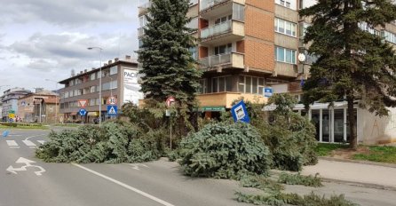SNAŽAN VJETAR LOMIO DRVEĆE U ZENICI I SARAJEVU: Avioni ne mogu sletjeti na aerodrom!
