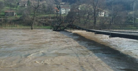 Plutajuće stablo prijeti da sruši most: Pripadnici Općinske civilne zaštite su na terenu,  stigla i teška mašina sa sajlama