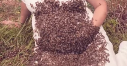 LJUBAV PREMA NJIMA NIJE ZAVRŠILA SRETNO: Žena se slikala sa 20.000 pčela na stomaku 