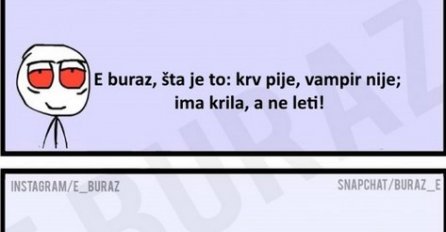 E buraz, šta je to : krv pije, vampir nije; ima krila, a ne leti!