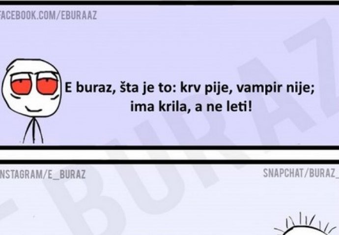 E buraz, šta je to : krv pije, vampir nije; ima krila, a ne leti!