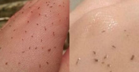 SAMO DVA SASTOJKA: Poslije ovoga, miteseri SAMI ISPADAJU iz pora, bit ćete oduševljeni 