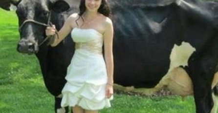 Pogledajte nesvakidašnje fotografije kod kojih nećete znati trebate li se SMIJATI ili PLAKATI