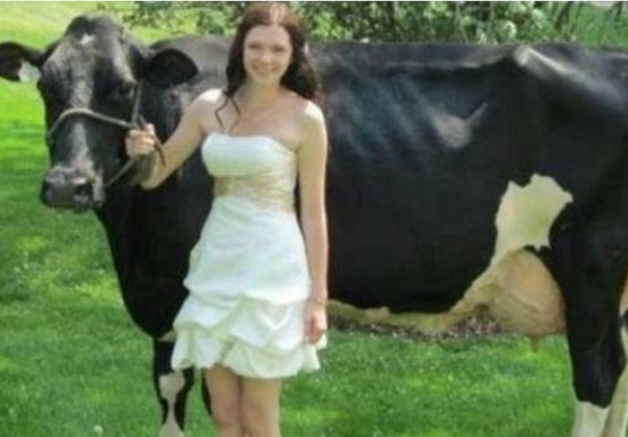 Pogledajte nesvakidašnje fotografije kod kojih nećete znati trebate li se SMIJATI ili PLAKATI