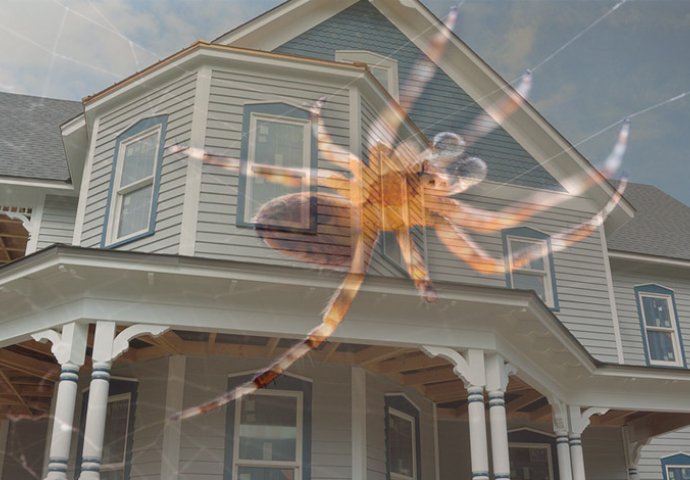 PLAŠITE LI SE PAUKA? Ako uradite ovih 5 stvari nikada više ih nećete vidjeti u vašem domu