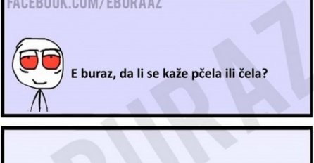 E buraz, da li se kaže pčela ili čela?