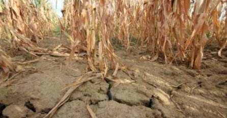 Udruženje poljoprivrednika FBiH: Ne smije biti povlašetnih u Programu poticaja