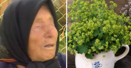 BABA VANGIN POPIS OD A DO Ž: Za svaku bolest u prirodi postoji BILJKA, a ovo su njeni RECEPTI!