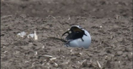 ČUO SE ČUDAN ZVUK, KAO GROM, A ONDA SAM VIDIO PILOTE KAKO PADAJU: Strašno svjedočenje očevidaca tragedije u Srbiji 