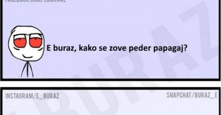 E buraz, kako se zove peder papagaj?