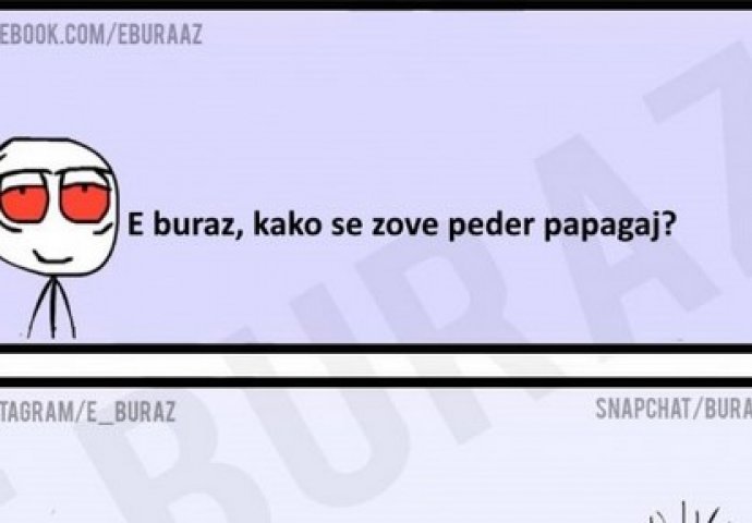 E buraz, kako se zove peder papagaj?