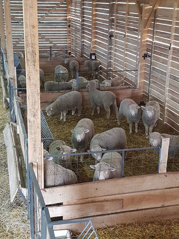 30530541-1251945294940577-4292027678648696832-n