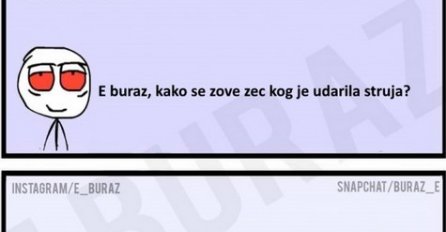 E buraz, kako se zove zec kog je udarila struja?