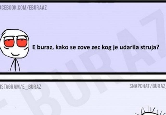 E buraz, kako se zove zec kog je udarila struja?