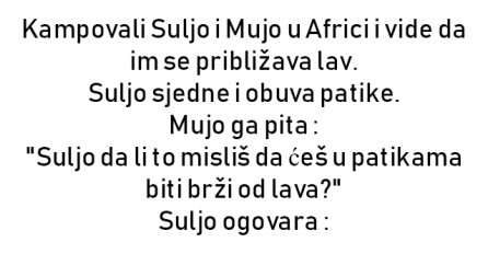 VIC : Kampovali Suljo i Mujo u Africi i vide da im se približava lav.