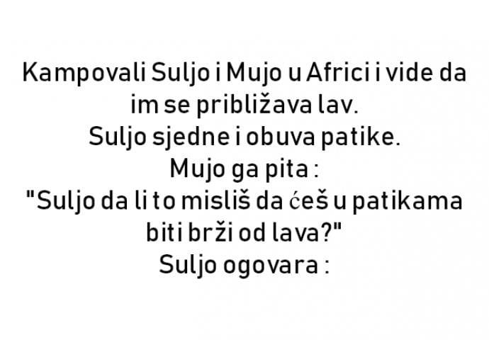 VIC : Kampovali Suljo i Mujo u Africi i vide da im se približava lav.