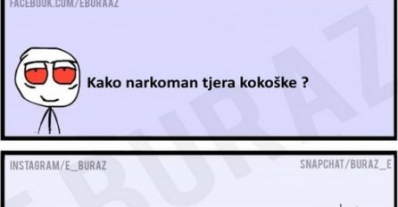 E buraz, kako narkoman tjera kokoške ?