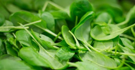 MNOGI OVO ZANEMARUJU: Svi znamo da je špinat zdrav, ali postoji razlog zbog kojeg ga ne smijemo često jesti!