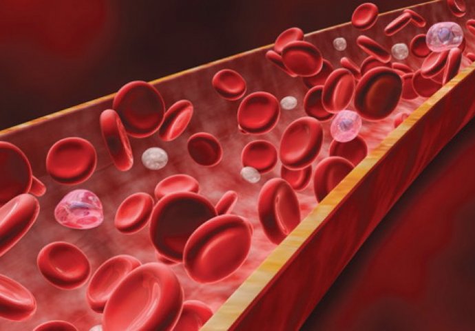 I doktori ostaju u čudu: OVA SMJESA će preporoditi vašu krvnu sliku! (RECEPT)