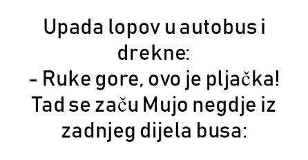 VIC : Upada lopov u autobus i drekne: