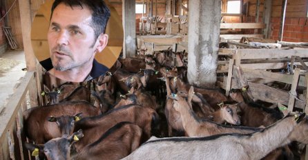 NESVAKIDAŠNJI SLUČAJ: Napustio karijeru u Italiji i vratio se u BiH da uzgaja koze