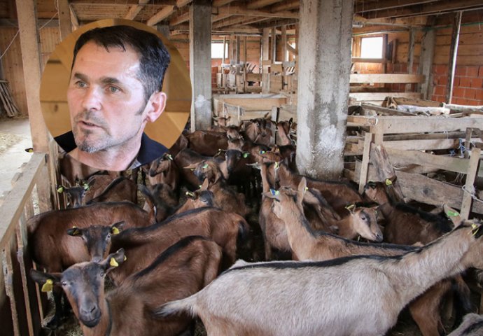 NESVAKIDAŠNJI SLUČAJ: Napustio karijeru u Italiji i vratio se u BiH da uzgaja koze