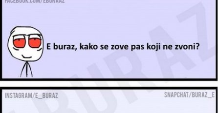 E buraz, kako se zove pas koji ne zvoni?