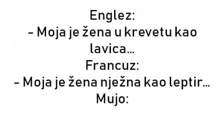 VIC : Razgovaraju Francuz, Englez i Mujo