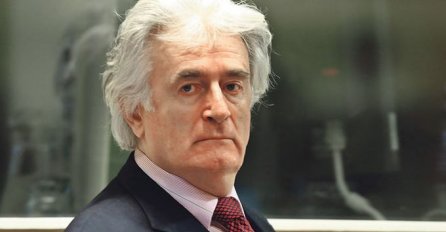 Danas u Haagu počinje žalbena rasprava, Karadžić traži ukidanje presude, tužitelji doživotnu kaznu