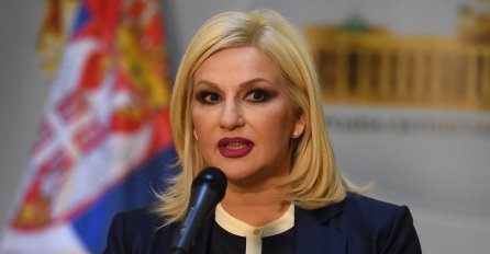 Mihajlović: 'Da smo mi reagovali kao Hrvati, pola hrvatske Vlade ne bi ušlo u Srbiju'